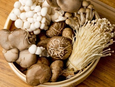 4 рецепта з грибами в головній ролі